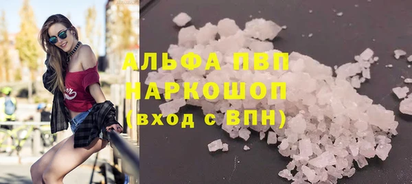 прущие грибы Богородицк
