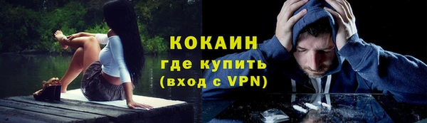 прущие грибы Богородицк
