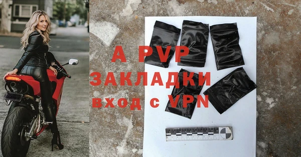 прущие грибы Богородицк