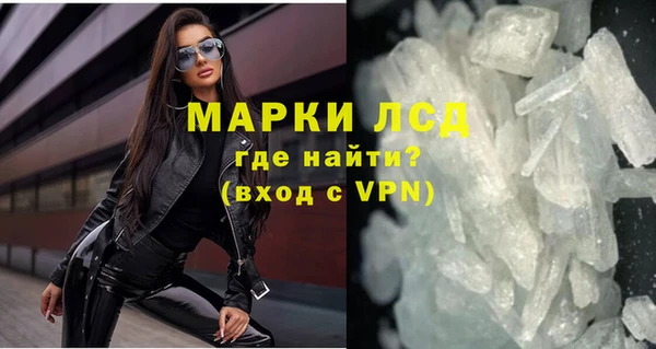 прущие грибы Богородицк